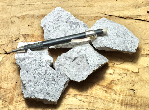 tuff - rhyolitic tuff with pumice clasts - a classic ignimbrite or pumice-dominated pyroclastic deposit  -  Unit of 5 student specimens
