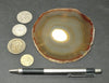 agate - polished slice from an agate-filled geode from Brazil
