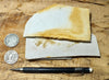 shale - tan siliceous Altamira Shale from the Miocene of California - teaching hand specimen