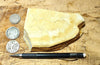 shale - tan siliceous Altamira Shale from the Miocene of California - teaching hand specimen