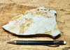 shale - tan siliceous Altamira Shale from the Miocene of California - teaching hand specimen