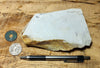 shale - tan siliceous Altamira Shale from the Miocene of California - teaching hand specimen