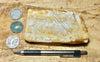 shale - tan siliceous Altamira Shale from the Miocene of California - teaching hand specimen