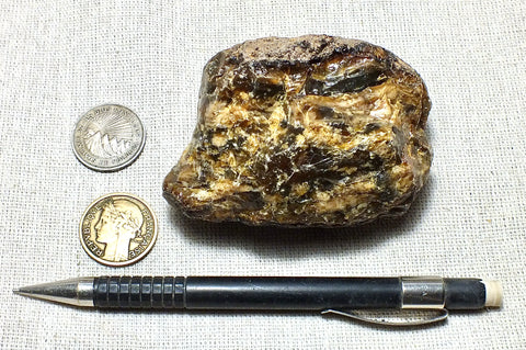 amber - fossil resin from a tropical forest tree in Indonesian Borneo