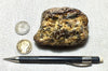 amber - fossil resin from a tropical forest tree in Indonesian Borneo