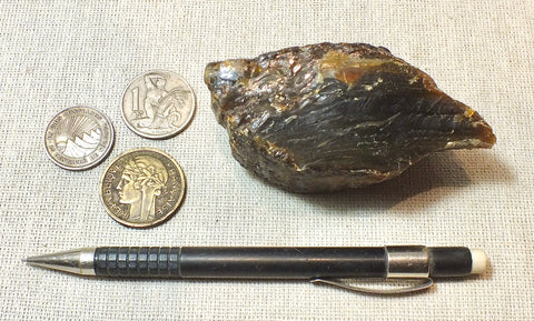 amber - fossil resin from a tropical forest tree in Indonesian Borneo - hand specimen