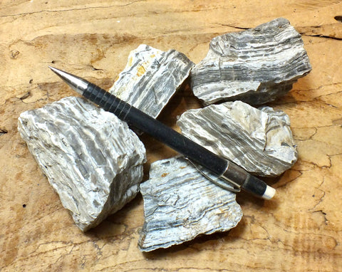 chert - teaching student specimens of banded chert from the Monterey Formation, California - Unit of 5 specimens