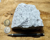 tuff - rhyolitic tuff with pumice clasts - a classic ignimbrite or pumice-dominated pyroclastic deposit - teaching hand/display specimen