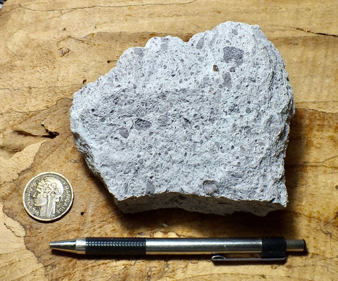 tuff - rhyolitic tuff with pumice clasts - a classic ignimbrite or pumice-dominated pyroclastic deposit - teaching hand/display specimen