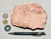 burned shale - teaching hand specimen of burned shale from the Monterey Formation, Ventura County, California