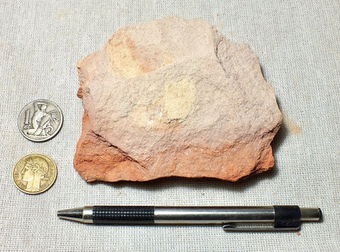 burned shale - teaching hand specimen of burned shale from the Monterey Formation, Ventura County, California - Geological Specimen Supply