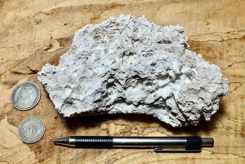 caliche - caliche formed in uplifted Pleistocene lake beds, uncovered and partly dissolved by acidic rain - hand/display specimen