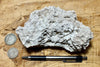 caliche - caliche formed in uplifted Pleistocene lake beds, uncovered and partly dissolved by acidic rain - hand/display specimen
