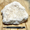 caliche - tan hardpan caliche from the Mojave Desert - display specimen