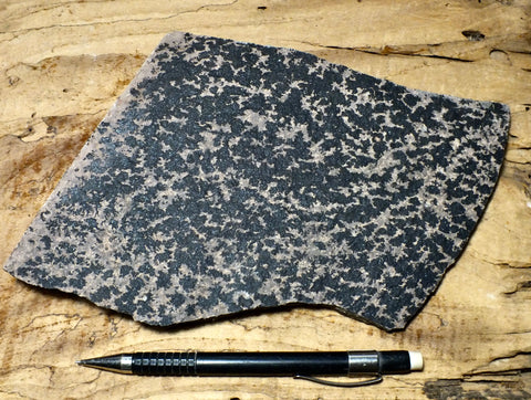 dendrites - hand/display specimen of manganese oxide dendrites