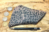 dendrites - teaching hand specimen of manganese oxide dendrites