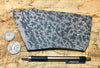 dendrites - teaching hand specimen of manganese oxide dendrites