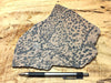 dendrites - teaching hand specimen of manganese oxide dendrites