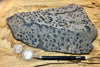 dendrites - hand/display specimen of manganese oxide dendrites
