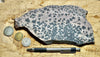 dendrites - hand/display specimen of manganese oxide dendrites