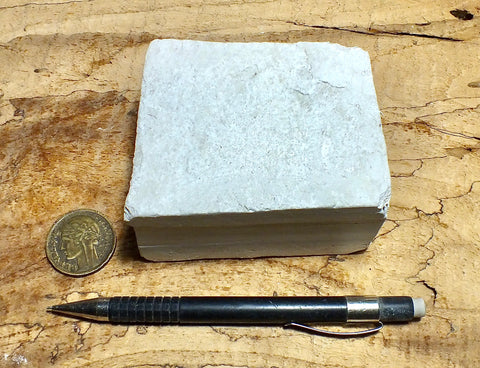 diatomite - teaching hand specimen of Miocene marine diatomite from the Monterey Formation of California, Newport Back Bay locality