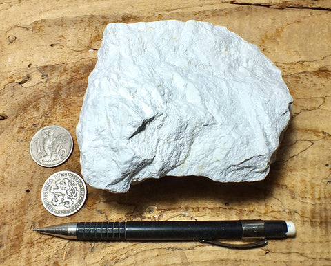 diatomite - hand/display specimen of lacustrine diatomite from Mineral County, Nevada