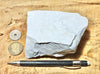 diatomite - teaching hand specimen of lacustrine diatomite from Mineral County, Nevada