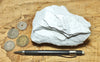 diatomite - teaching hand specimen of lacustrine diatomite from Mineral County, Nevada
