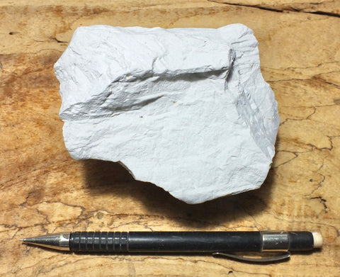 diatomite - teaching hand specimen of lacustrine diatomite from Mineral County, Nevada