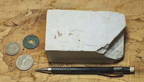diatomite - teaching hand specimen of the Valmonte diatomite, a unit of the Monterey Formation of California
