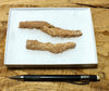 fulgurite - pair of longer than average natural glass tubes formed by lightning strikes on sand