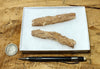 fulgurite - pair of longer than average natural glass tubes formed by lightning strikes on sand