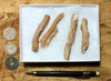 fulgurite - set of natural glass tubes formed by lightning strikes on sand