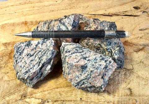 orthogneiss - mid to late Proterozoic, St. Jerome, Quebec - unit of 5 student specimens