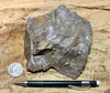 fault gouge - hand/display specimen of clay from the San Andreas Fault Zone