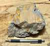 fault gouge - hand/display specimen of clay from the San Andreas Fault Zone
