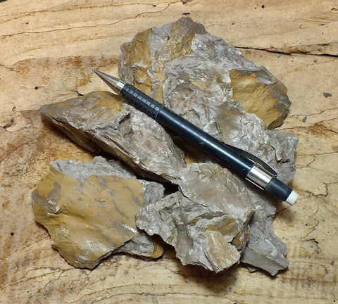 fault gouge - clay formed in the San Andreas fault zone  - Unit of 5 student specimens
