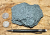 schist -  greenschist - a facies of the Pelona Schist - hand/display specimen