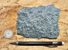 schist -  greenschist - a facies of the Pelona Schist - hand/display specimen