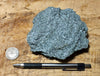 schist -  greenschist - a facies of the Pelona Schist - hand/display specimen