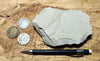 limestone - tan silty limestone from the Jurassic Carmel Fm. - teaching hand specimen