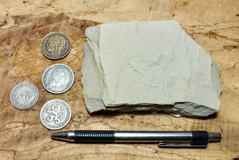 limestone - tan silty limestone from the Jurassic Carmel Fm. - teaching hand specimen