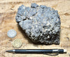 limestone - hand/display specimen showing typical dissolved surface found in arid climates - Lower Cambrian Chambless Limestone, Marble Mountains, Calif.