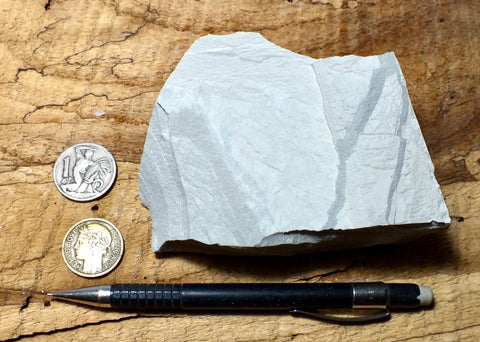 limestone - very light tan lacustrine limestone from the Eocene Green River Formation - teaching hand/display specimen