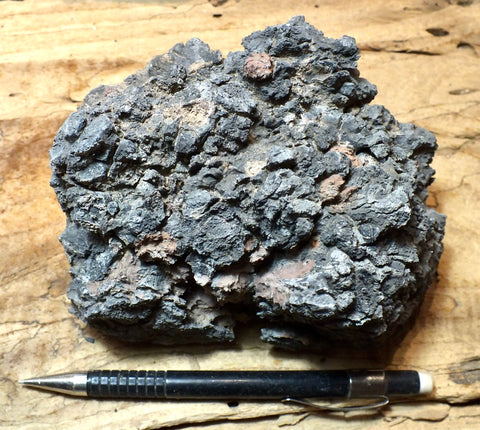 limestone - display specimen showing typical dissolved surface found in arid climates - Lower Cambrian Chambless Limestone, Marble Mountains, Calif.