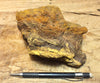 limonite - hand/display specimen of limonite from the top of a mineralized vein, showing conversion to yellow ochre