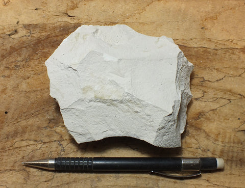 magnesite - hand/display specimen of light tan porous magnesite - Windous magnesite deposit, Westvaco Mine