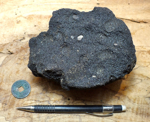 oil sand - Graciosa coarse-grained member of the Careaga sandstone impregnated with oil from the underlying Monterey Formation - large hand/display specimen