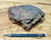 peat - hand specimen of peat from the San Andreas fault zone, formed in a marsh that dried out roughly a century ago