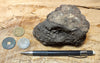 peat - hand specimen of peat from the San Andreas fault zone, formed in a marsh that dried out roughly a century ago